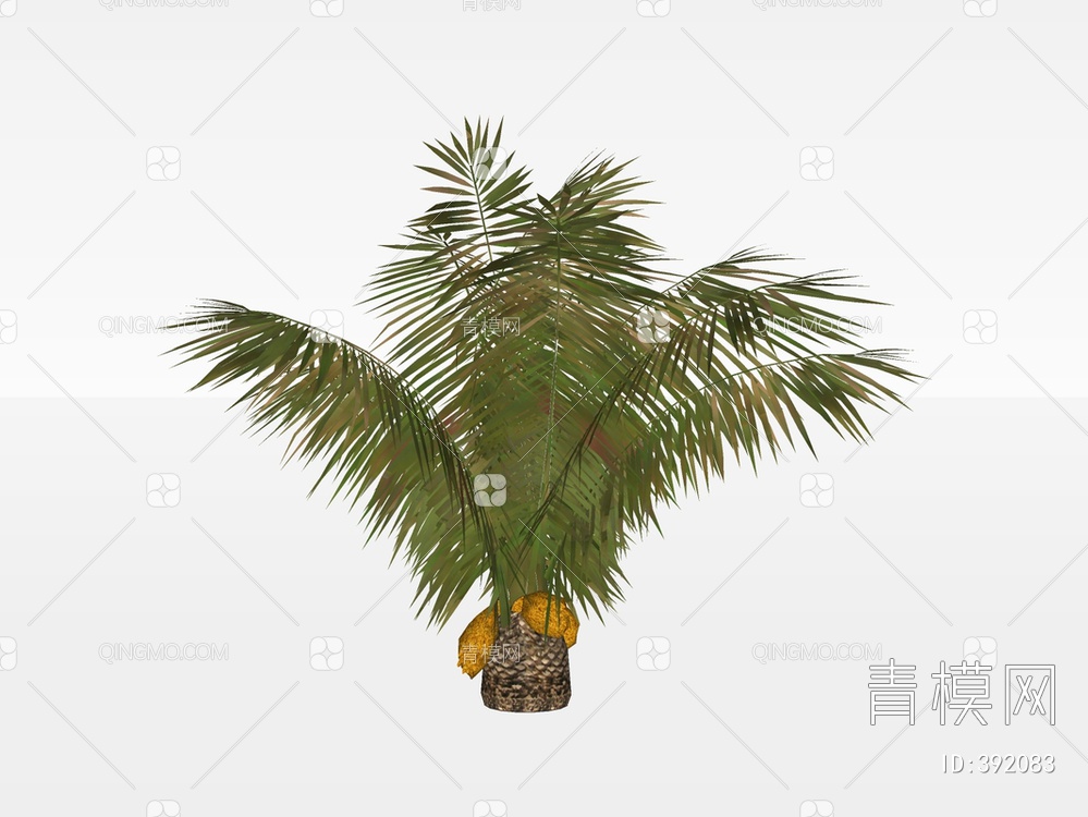 棕榈树SU模型下载【ID:392083】