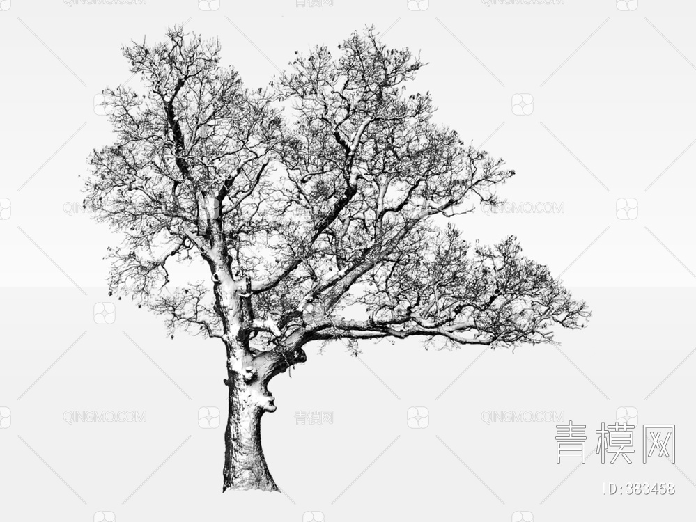 枯树冬季树SU模型下载【ID:383458】