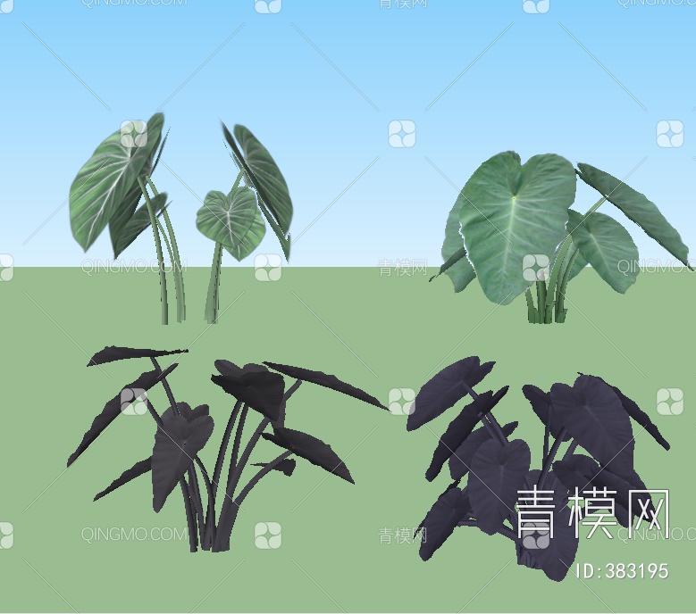 景观植物SU模型下载【ID:383195】