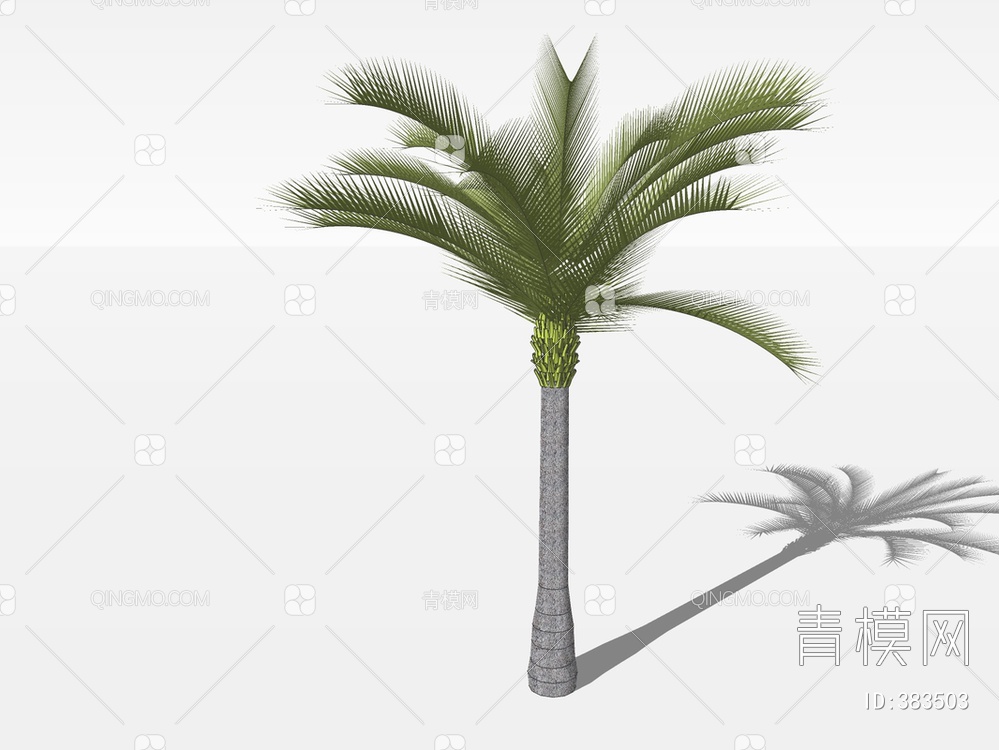 热带树SU模型下载【ID:383503】