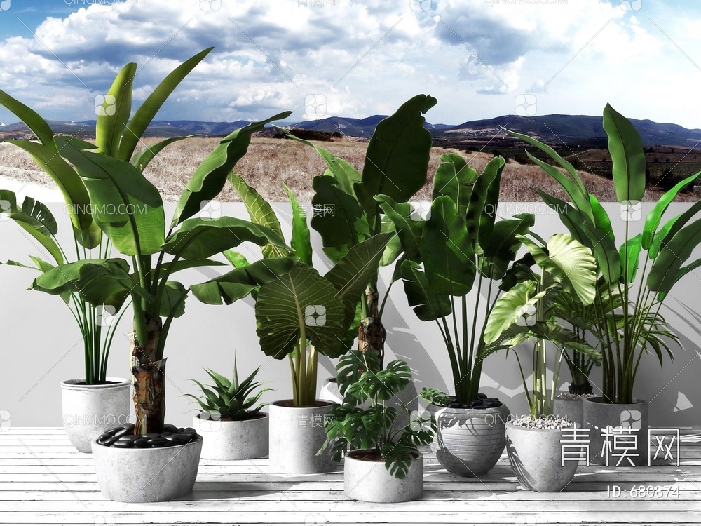 户外盆栽绿植植物组合3D模型下载【ID:680874】