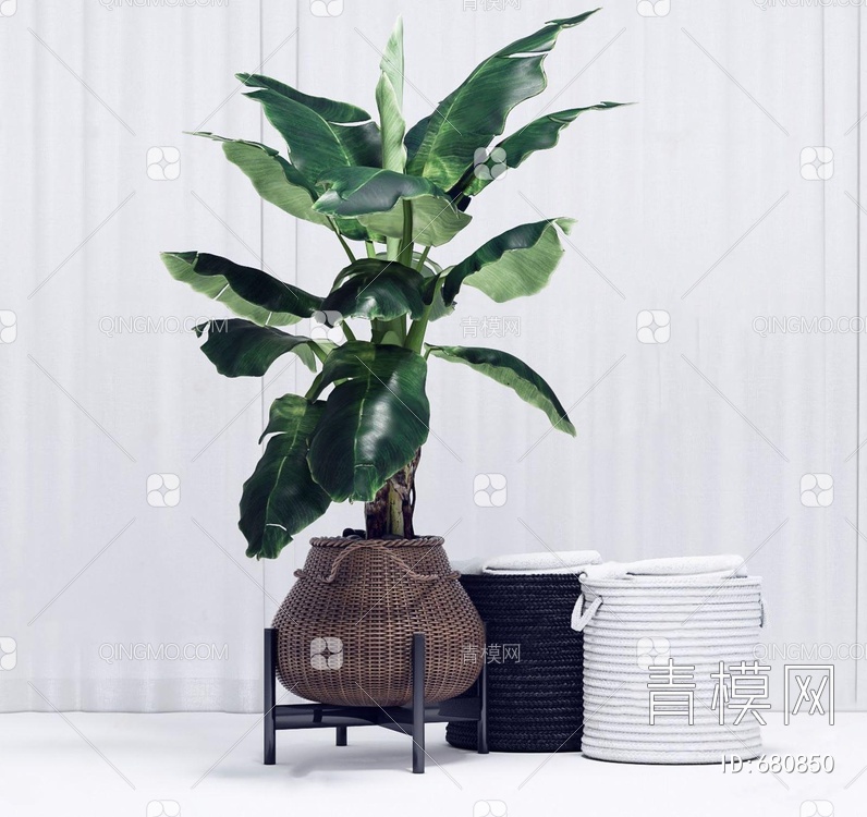 大型绿植盆栽3D模型下载【ID:680850】