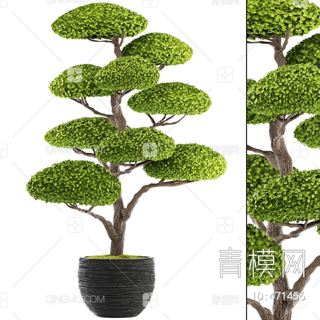 景观树盆栽3D模型下载【ID:471456】