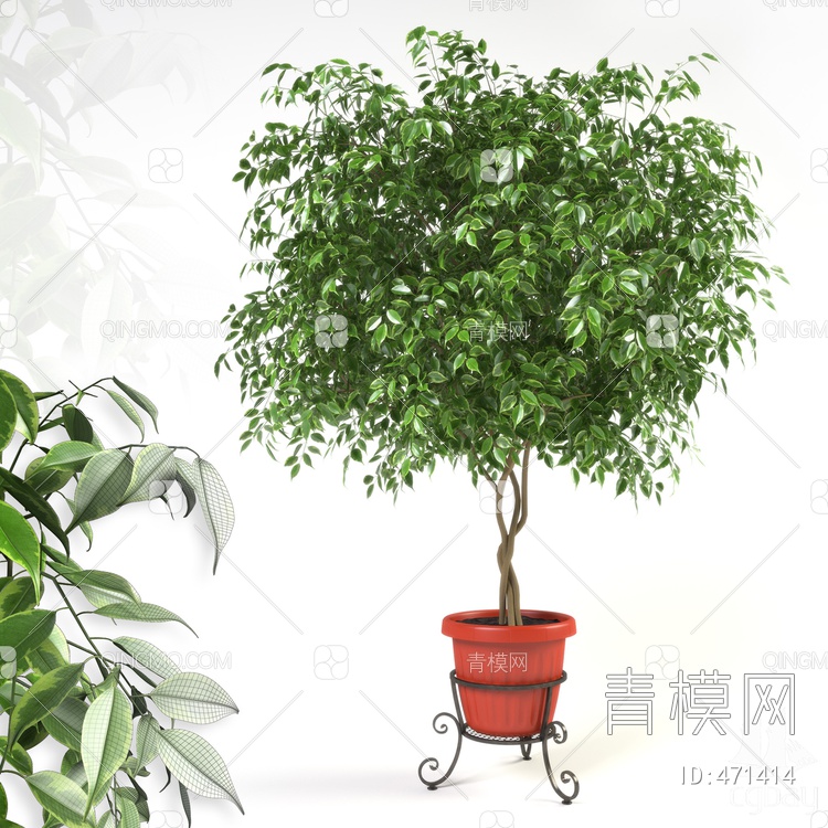 植物盆栽3D模型下载【ID:471414】