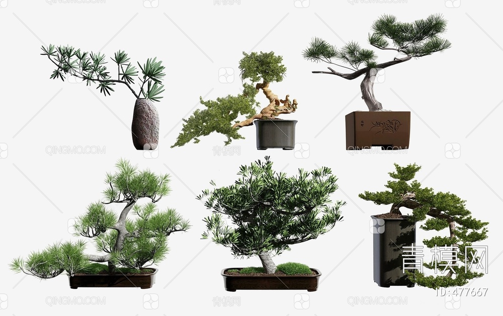 松树盆栽组合3D模型下载【ID:477667】