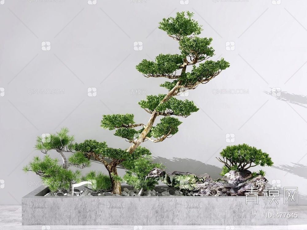 植物盆栽盆景3D模型下载【ID:477645】