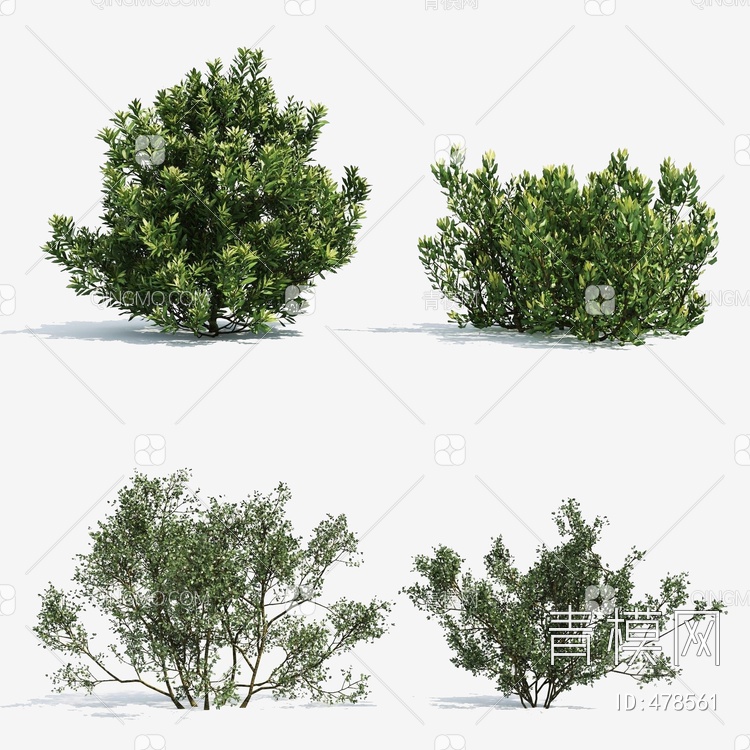 绿植灌木3D模型下载【ID:478561】