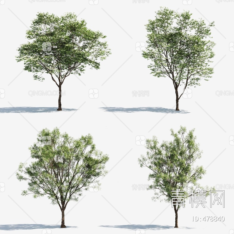 景观树3D模型下载【ID:478840】