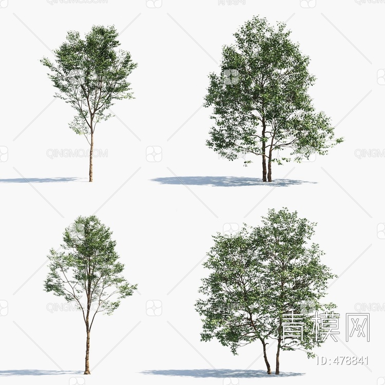 景观树行道树3D模型下载【ID:478841】