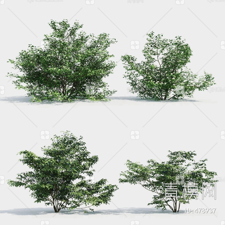 绿植灌木3D模型下载【ID:478937】