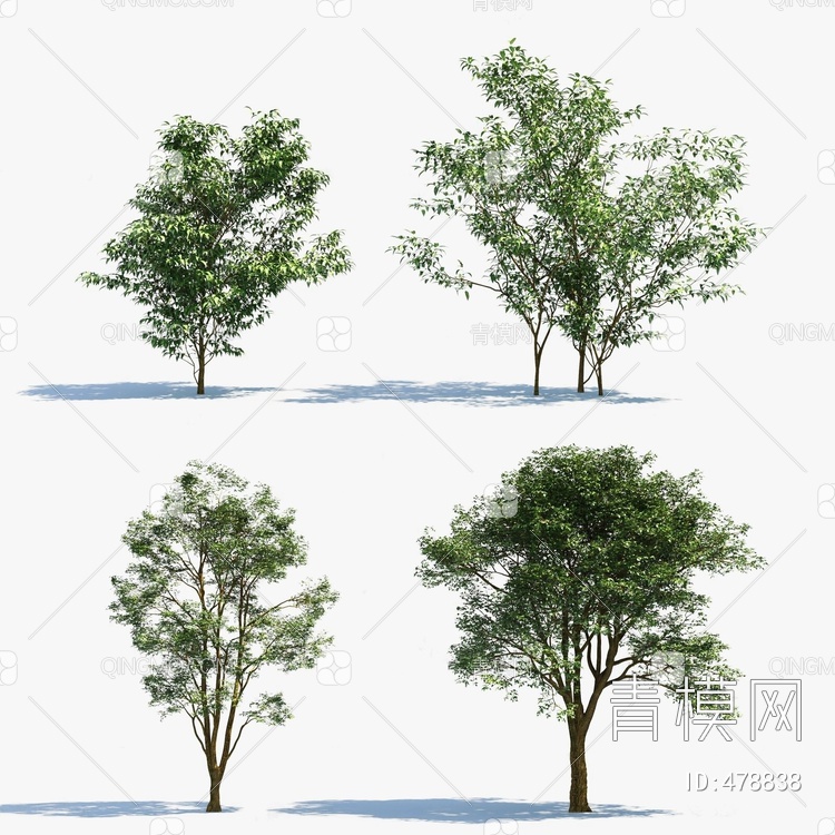 景观树3D模型下载【ID:478838】