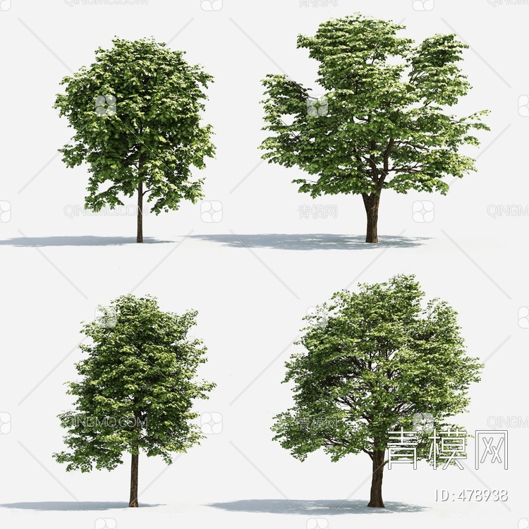 景观树行道树3D模型下载【ID:478938】