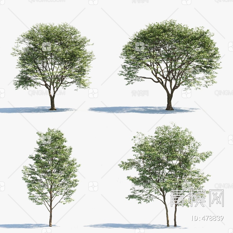 景观树3D模型下载【ID:478839】