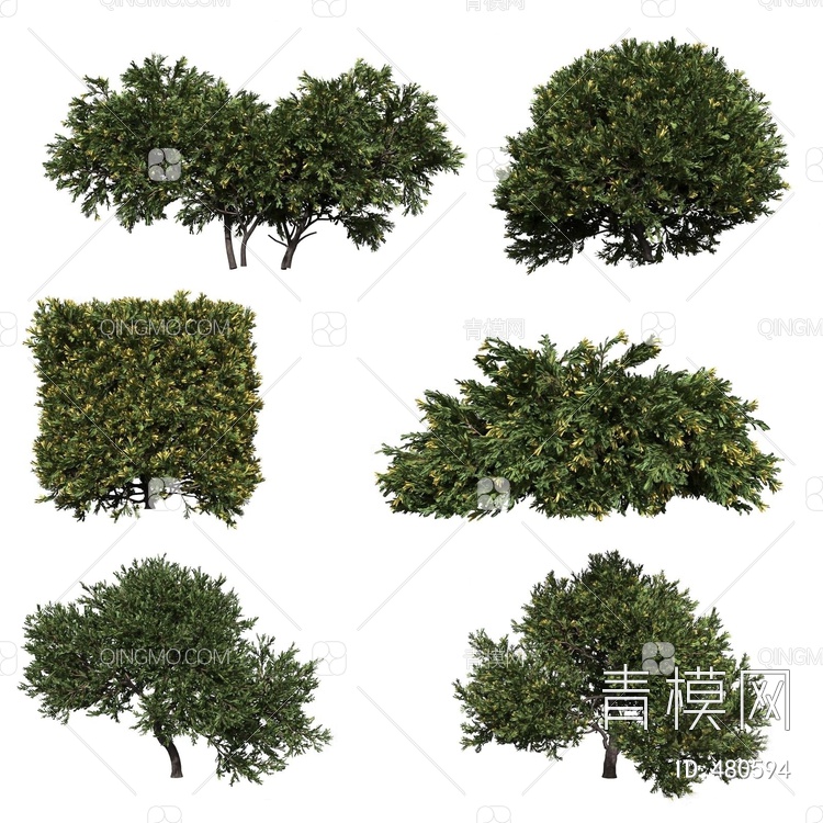灌木植物3D模型下载【ID:480594】