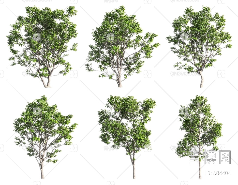 景观树3D模型下载【ID:684404】