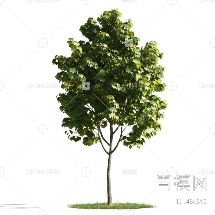 高品质树3D模型下载【ID:486815】