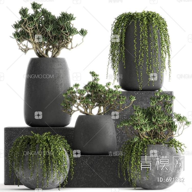 绿植物盆栽组合3D模型下载【ID:691282】