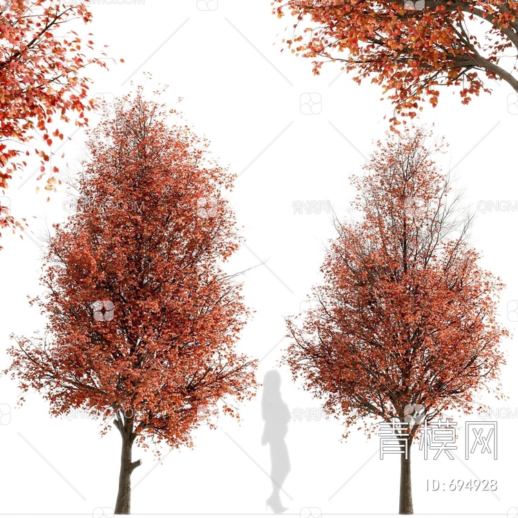红树梨树3D模型下载【ID:694928】