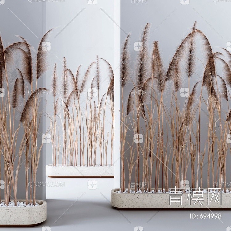 芦苇植物3D模型下载【ID:694998】