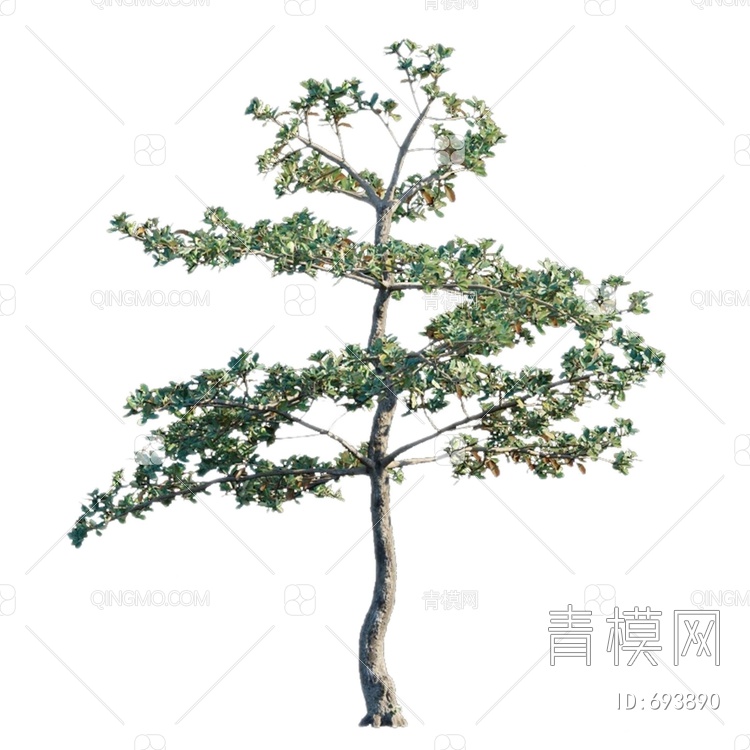 景观树木3D模型下载【ID:693890】