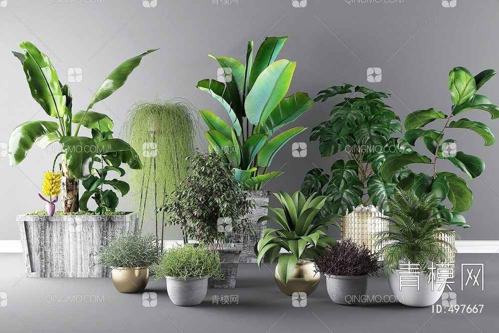 植物组合3D模型下载【ID:497667】
