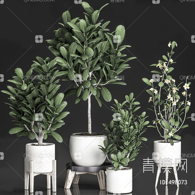 绿植盆栽3D模型下载【ID:498073】