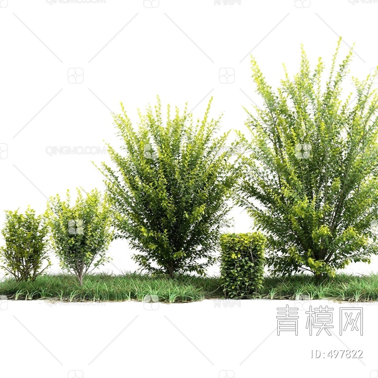树木植物3D模型下载【ID:497822】