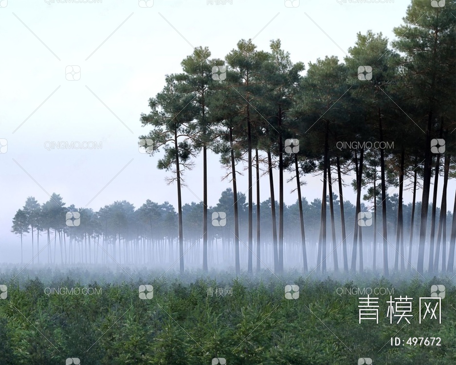 百年老树林3D模型下载【ID:497672】