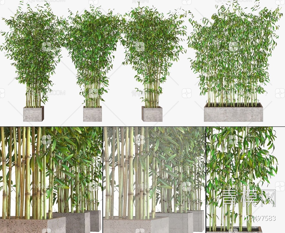 竹子盆栽植物3D模型下载【ID:497583】