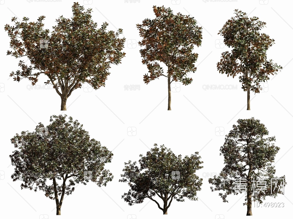 白玉兰树3D模型下载【ID:498023】