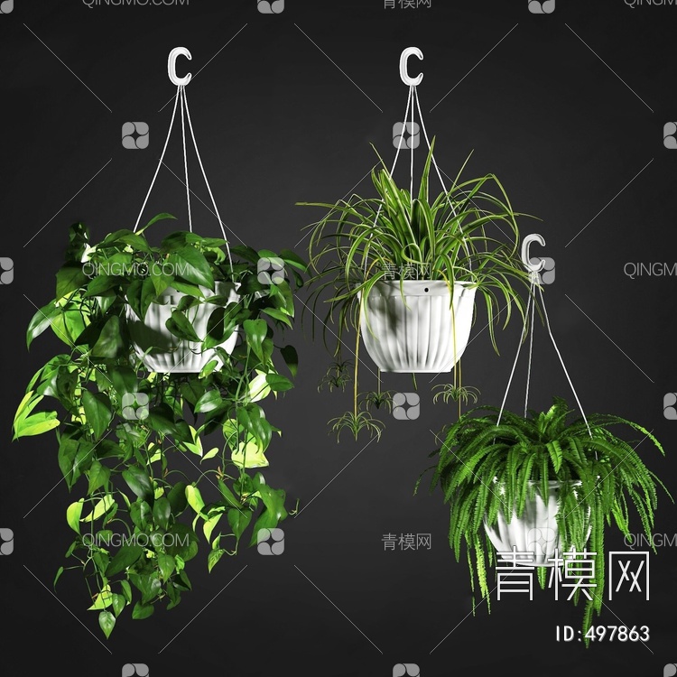 吊植植物组合3D模型下载【ID:497863】