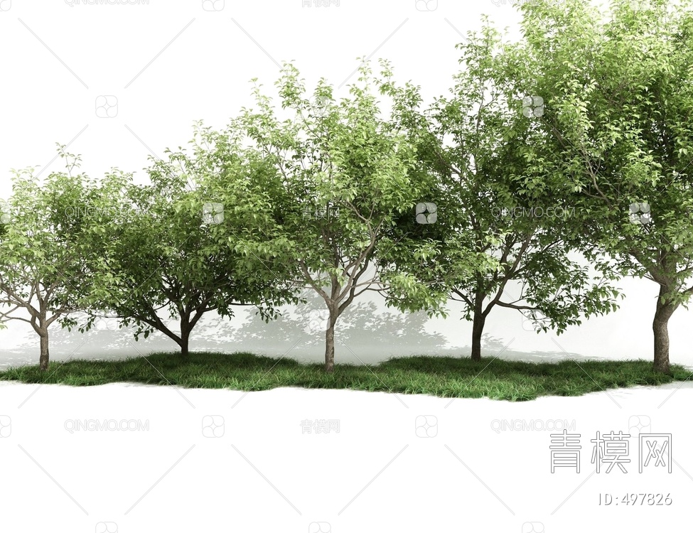 树木3D模型下载【ID:497826】