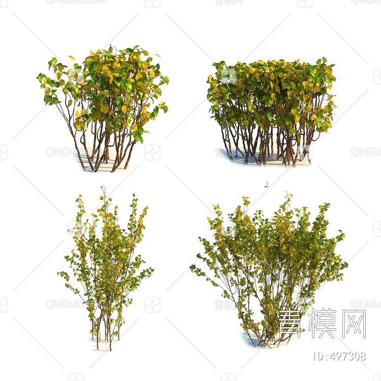 植物树木3D模型下载【ID:497308】
