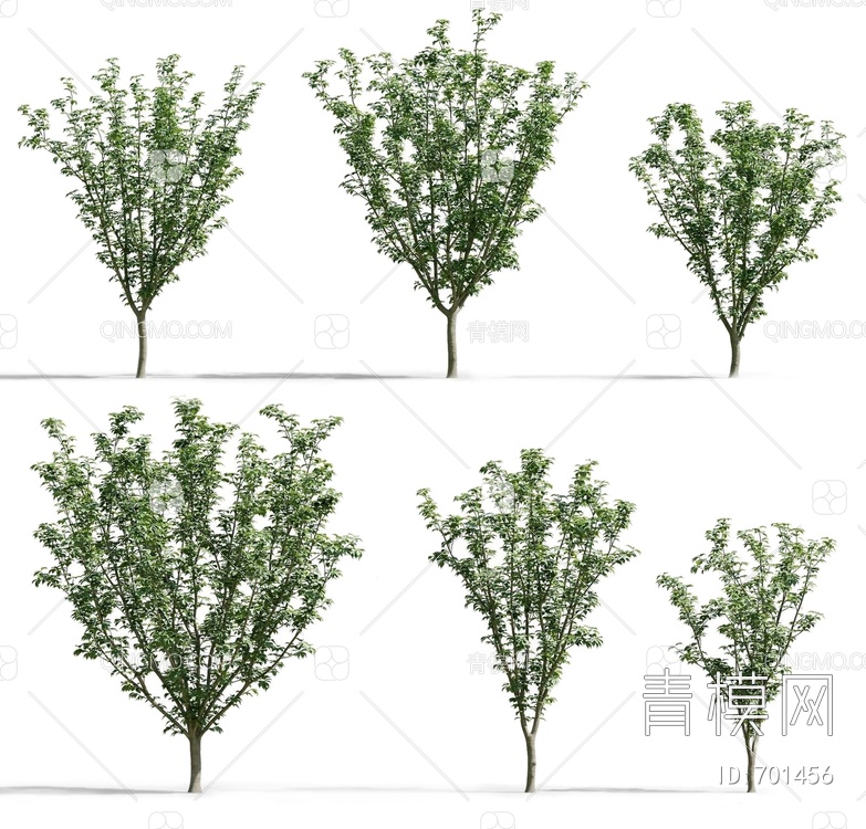景观树木3D模型下载【ID:701456】