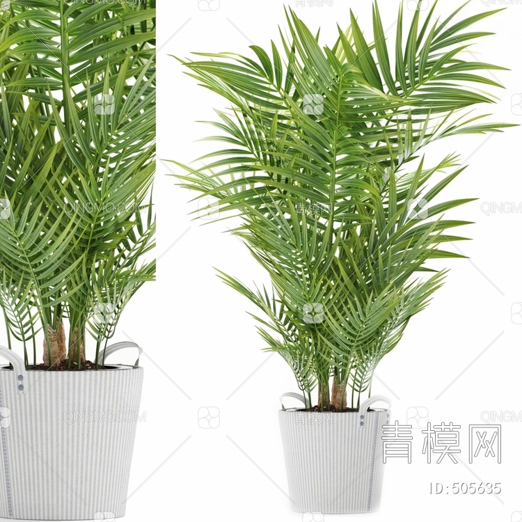 棕榈盆栽植物3D模型下载【ID:505635】