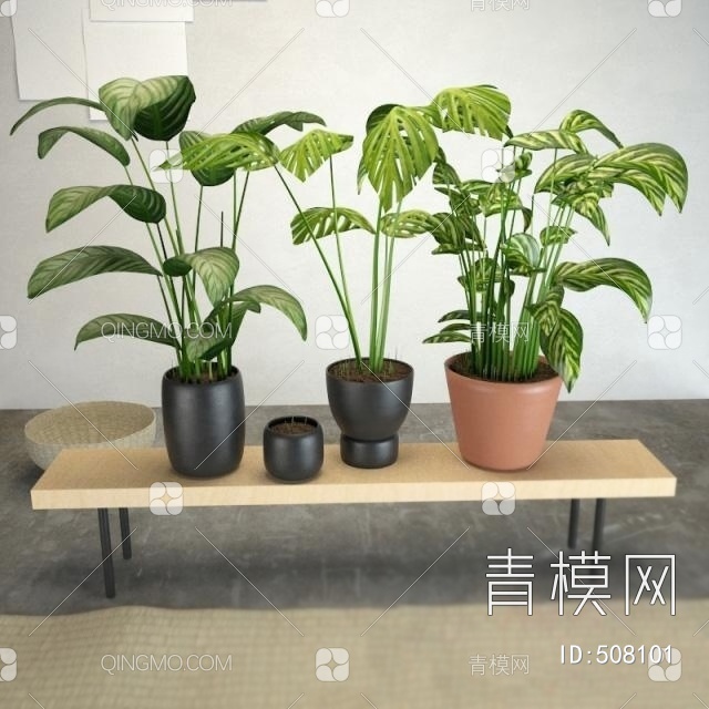 流行室内盆栽国外3D模型下载【ID:508101】