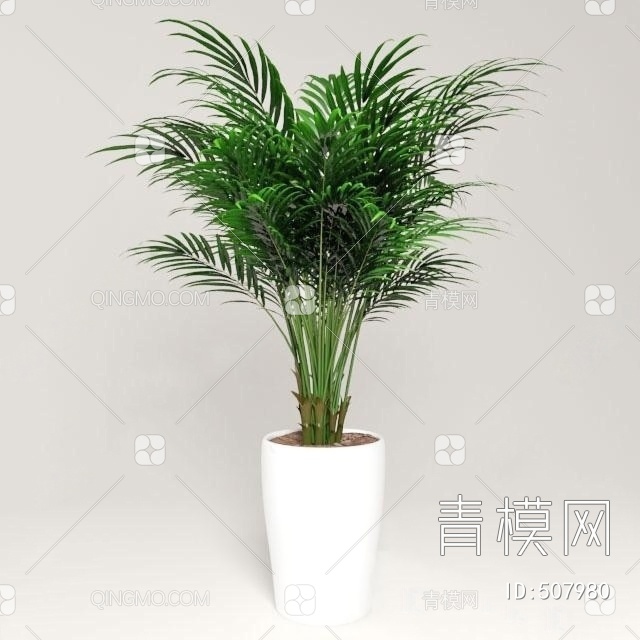 流行室内植物国外3D模型下载【ID:507980】
