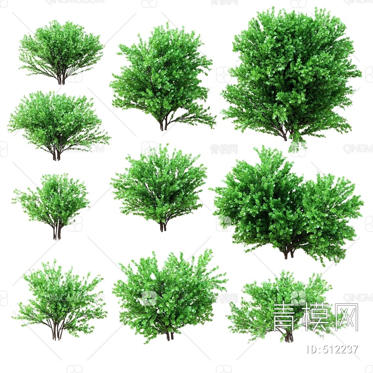 景观灌木植物3D模型下载【ID:512237】