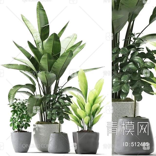流行室内植物组合国外3D模型下载【ID:512485】