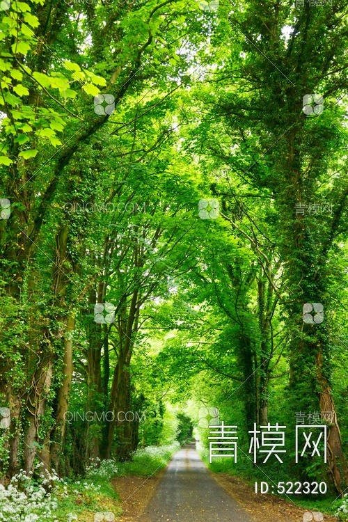 唯美森林风景装饰画贴图下载【ID:522320】