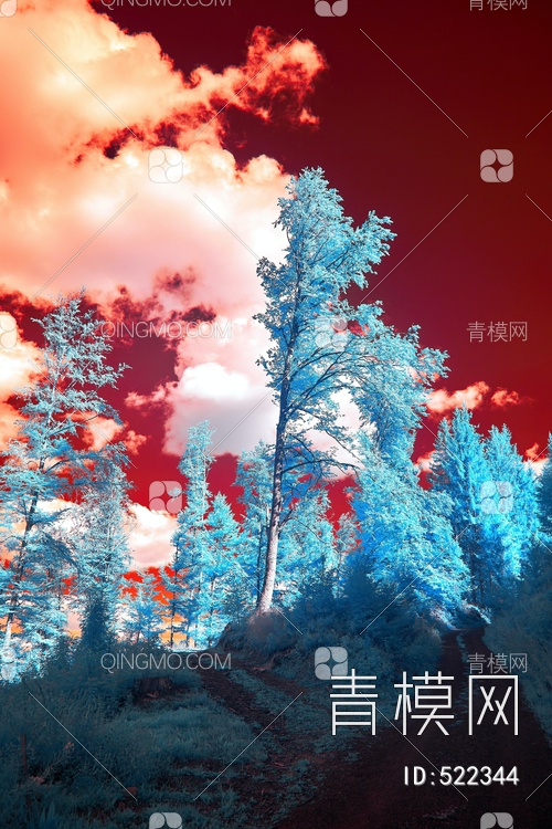 唯美森林风景装饰画贴图下载【ID:522344】