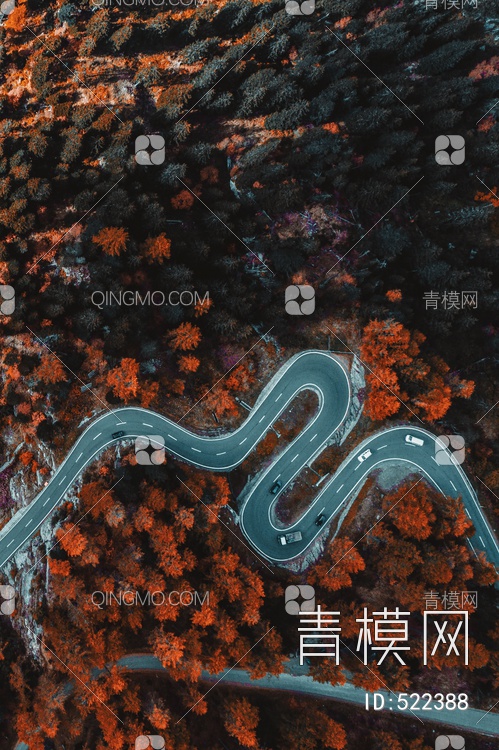 森林风景画贴图下载【ID:522388】