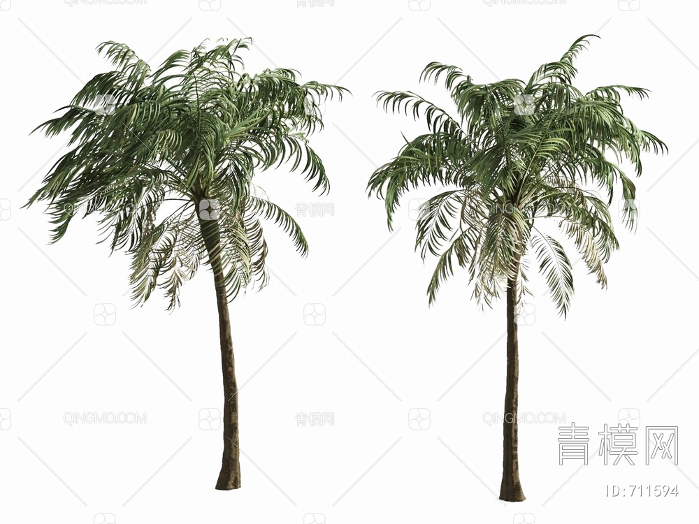 热带树3D模型下载【ID:711594】