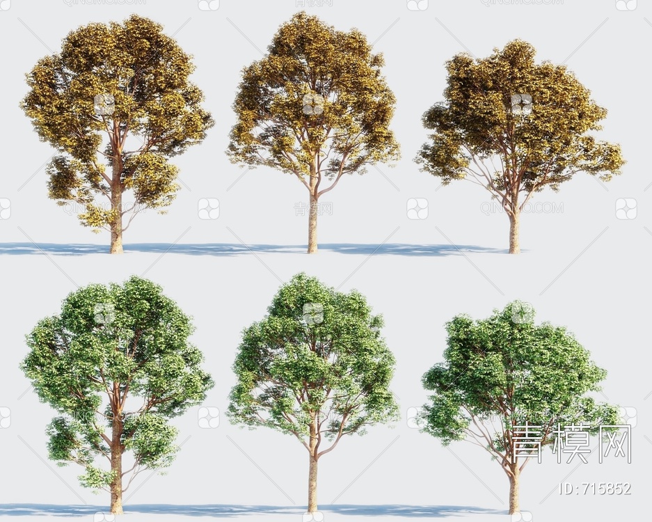 景观树3D模型下载【ID:715852】