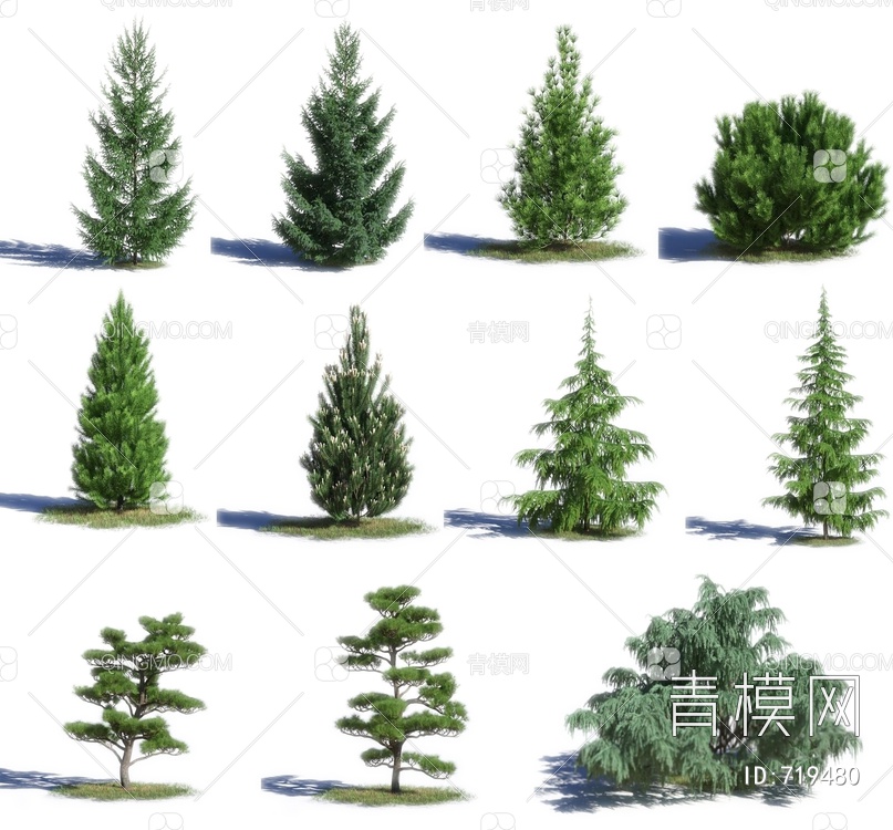 景观树行道树3D模型下载【ID:719480】