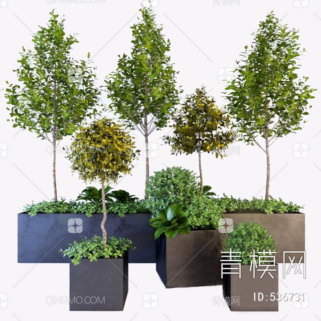 植物盆栽vr3D模型下载【ID:536731】