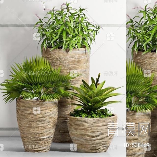植物3D模型下载【ID:538469】