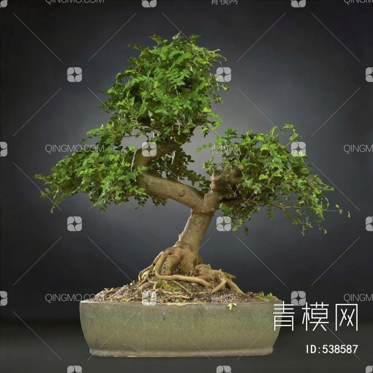 盆景3D模型下载【ID:538587】