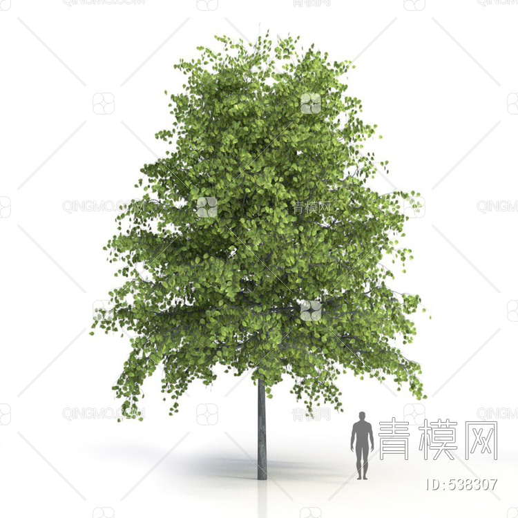 树3D模型下载【ID:538307】