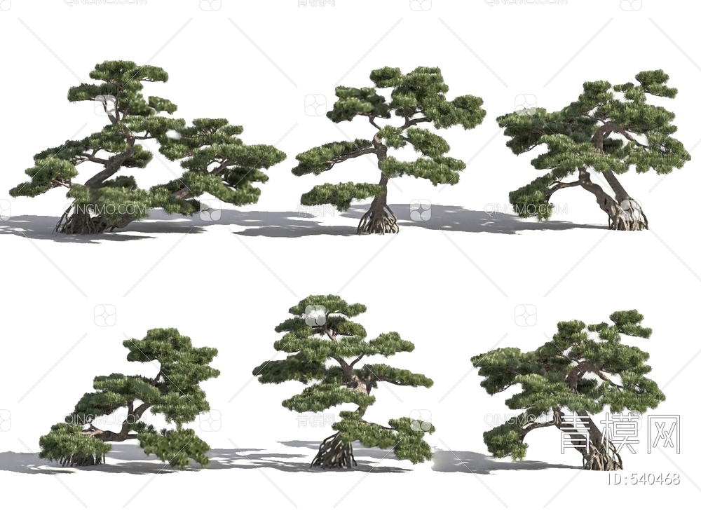 罗汉松景观树3D模型下载【ID:540468】
